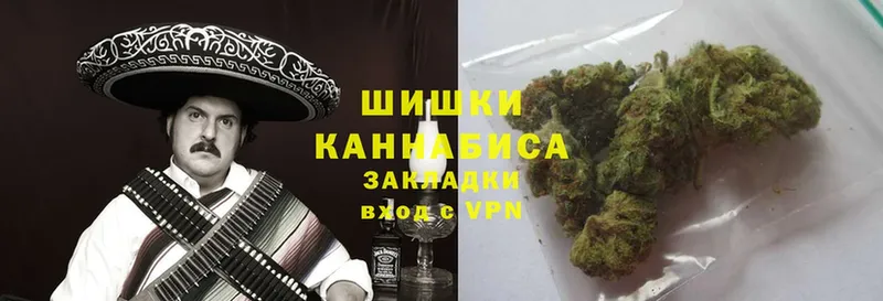 где купить наркоту  мега рабочий сайт  Марихуана White Widow  Элиста 